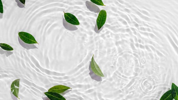 Eau de parfum W14 – Image 3